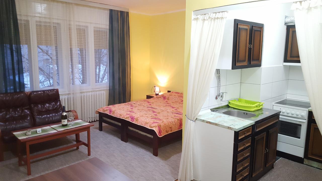 Apartment Roxana Centar Novi Sad Exterior foto